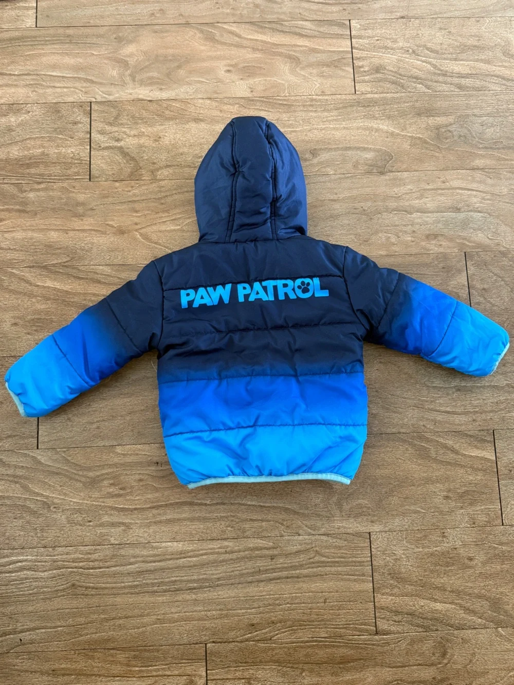 Nickelodeon Blue Gradient Boys Puffer Jacket with Hood